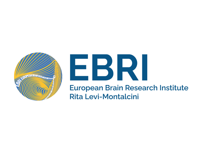 European Brain Research Institute Rita Levi-Montalcini Logo
